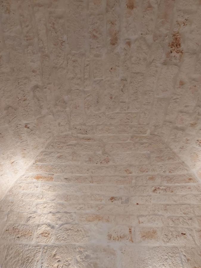 Buze Rodriguez Suite أوستوني المظهر الخارجي الصورة
